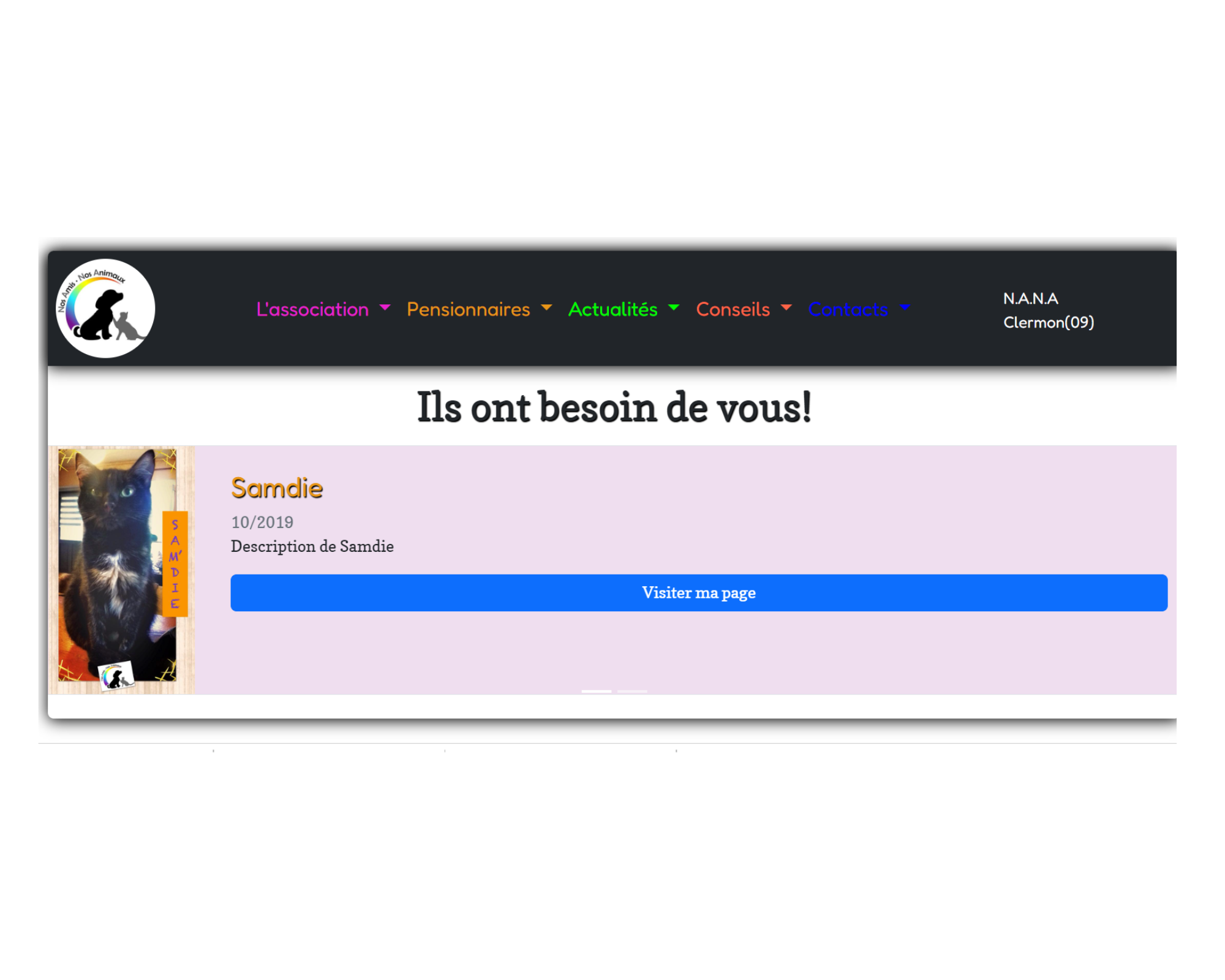 Projet
